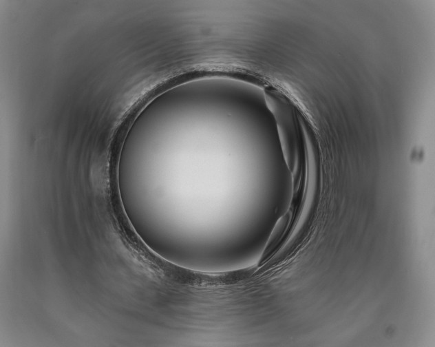 X0000090930531200707301557