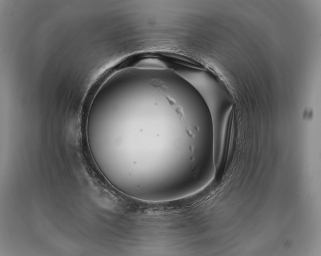 X0000090930532200707301557