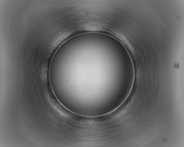X0000090930533200707301557