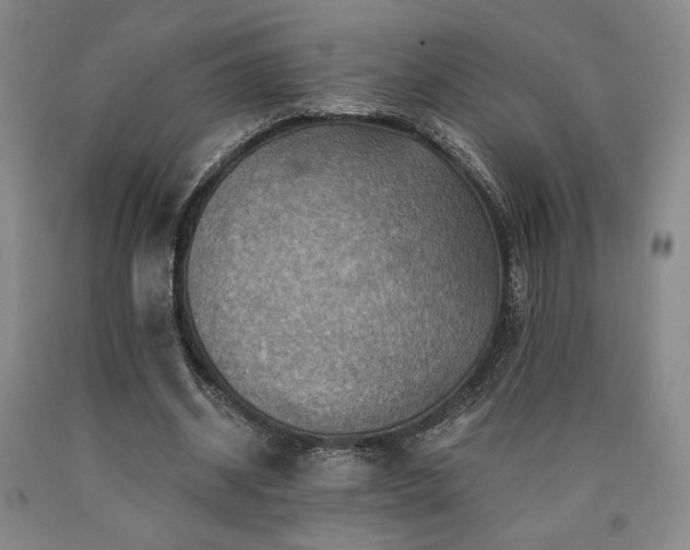 X0000090930534200707301557