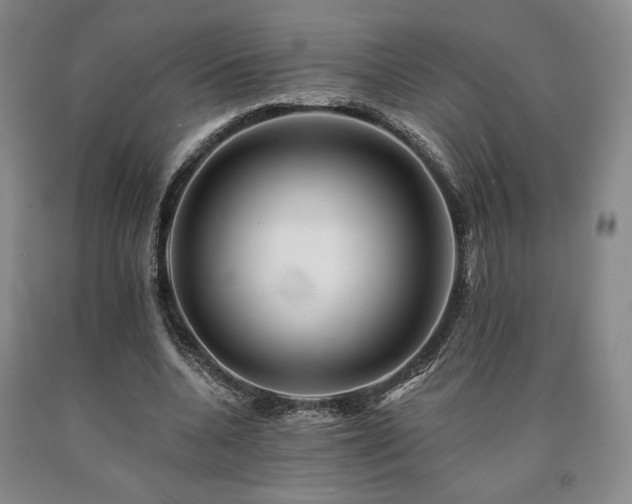 X0000090930536200707301557