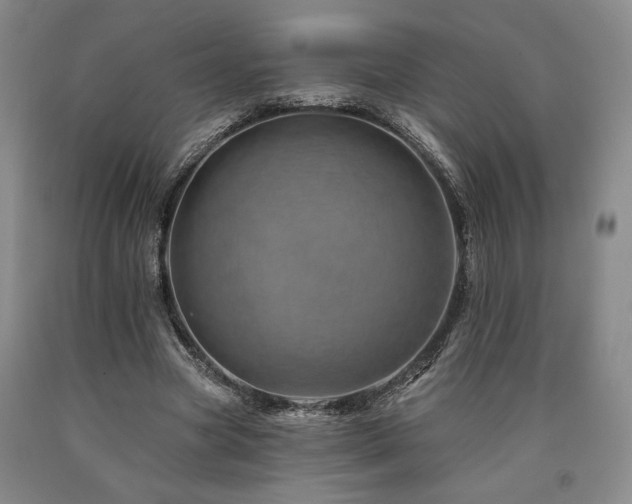 X0000090930537200707301557