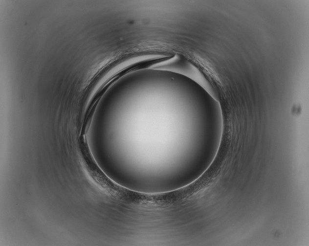 X0000090930538200707301557