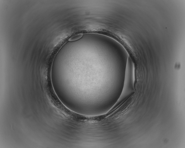 X0000090930539200707301557