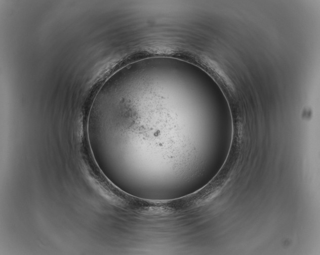 X0000090930541200707301557