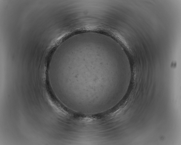 X0000090930542200707301557