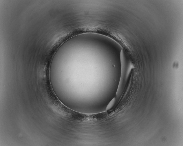 X0000090930543200707301557