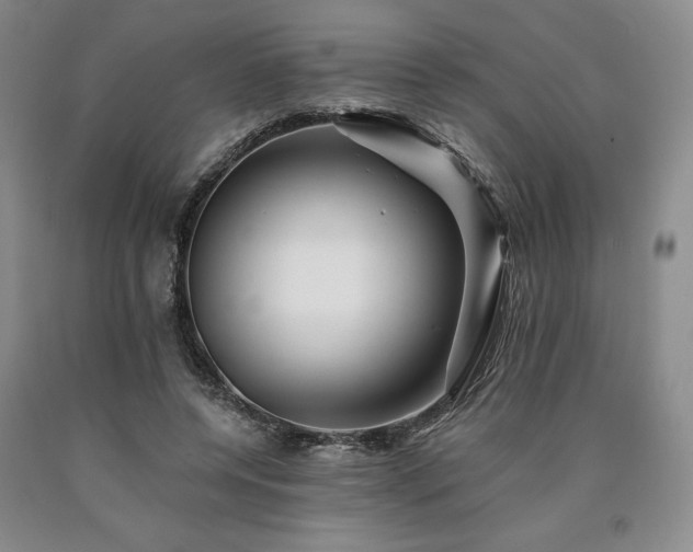 X0000090930544200707301557