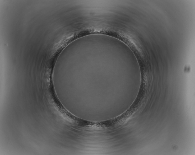 X0000090930545200707301557