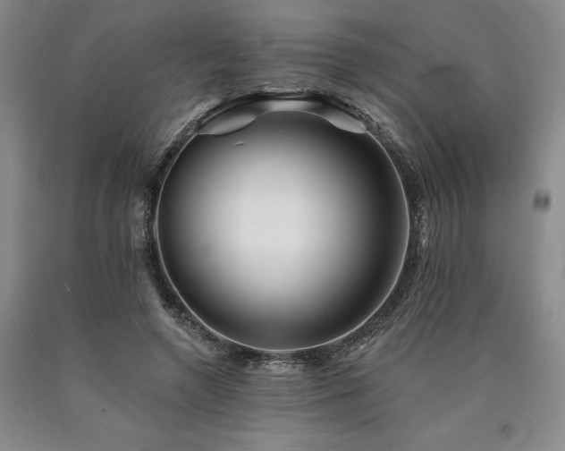 X0000090930546200707301557