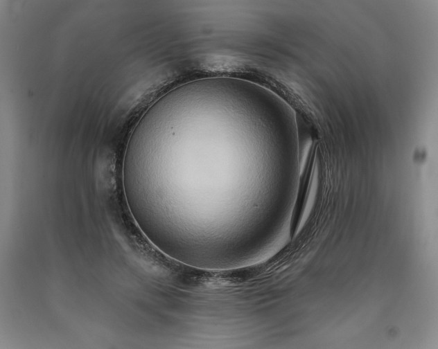 X0000090930547200707301557