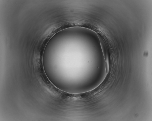 X0000090930548200707301557