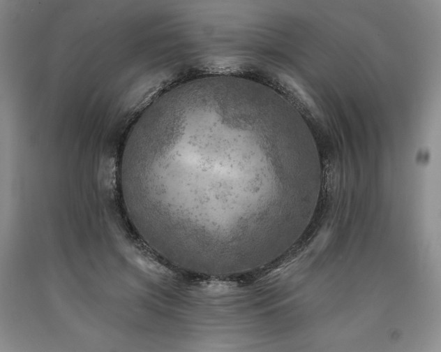 X0000090930549200707301557