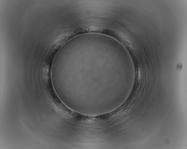 X0000090930550200707301557