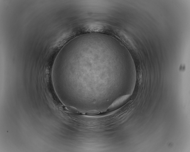 X0000090930551200707301557