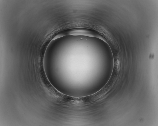 X0000090930552200707301558