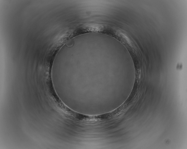 X0000090930553200707301558