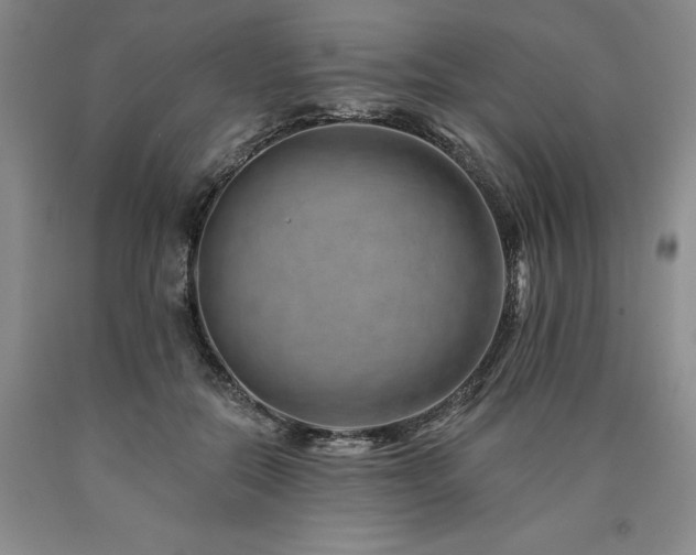 X0000090930554200707301558