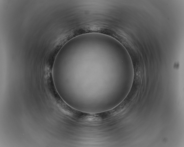 X0000090930555200707301558
