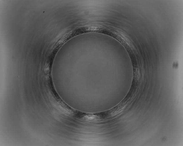 X0000090930557200707301558