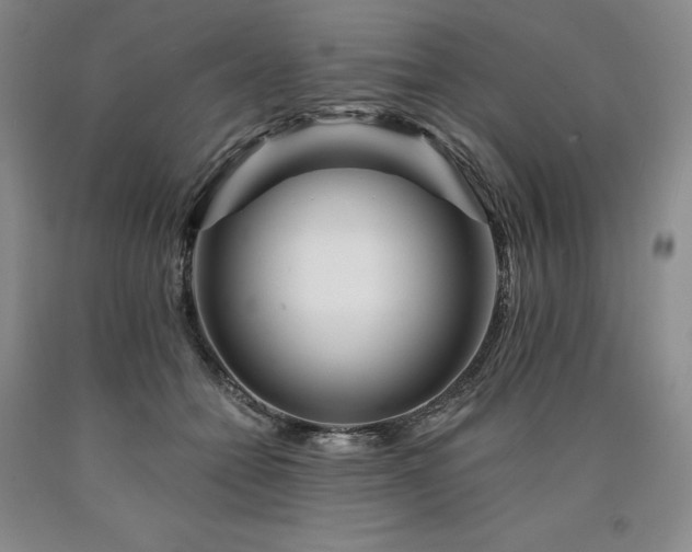 X0000090930558200707301558
