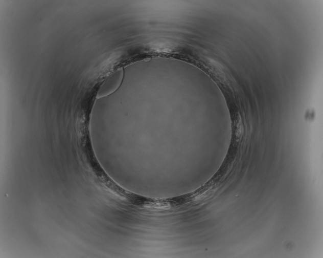 X0000090930559200707301558