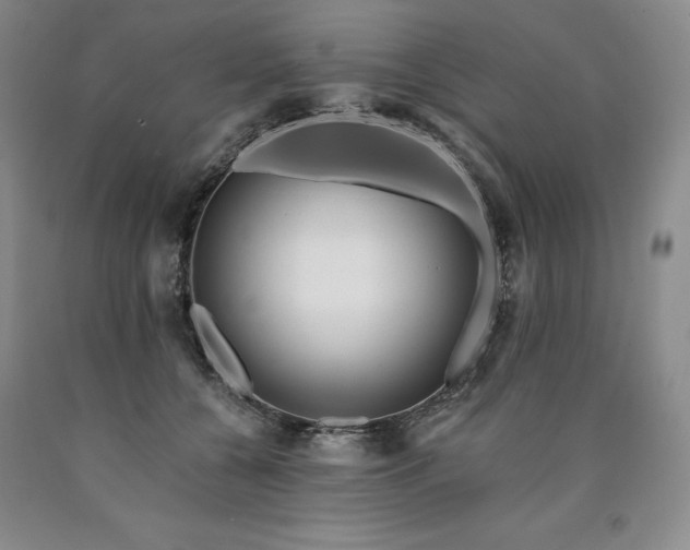 X0000090930560200707301558