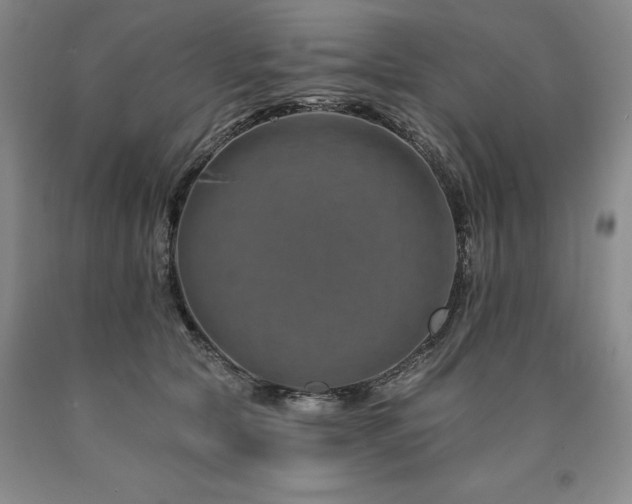 X0000090930561200707301558