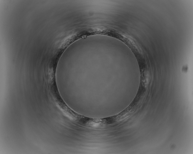 X0000090930563200707301558