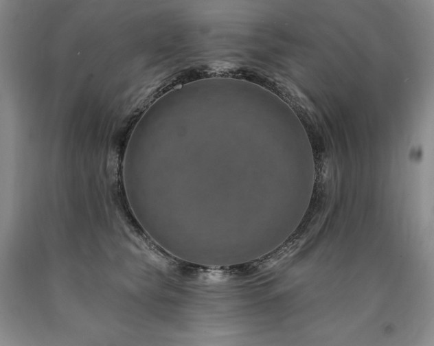 X0000090930565200707301558