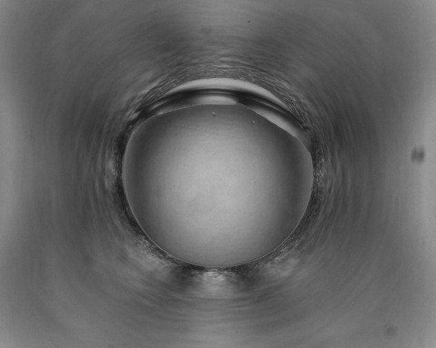 X0000090930566200707301558