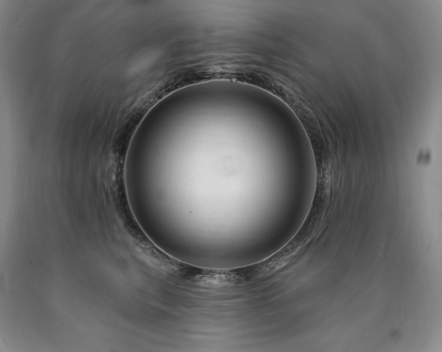 X0000090930567200707301558