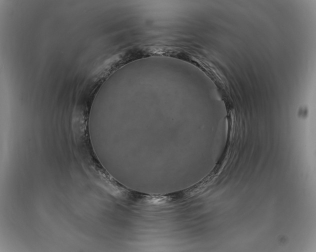 X0000090930569200707301558
