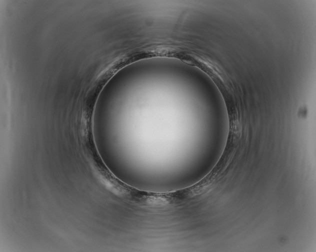 X0000090930572200707301558