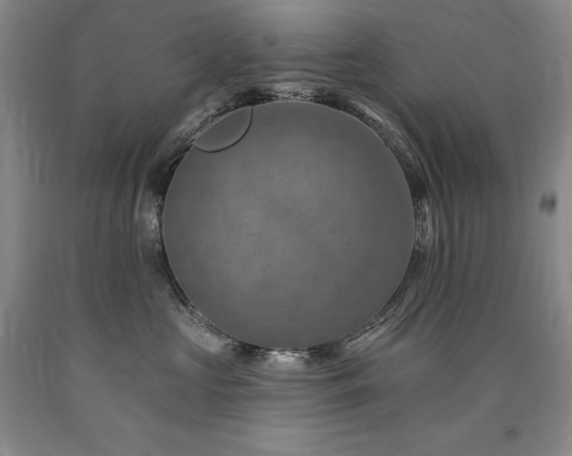 X0000090930573200707301558