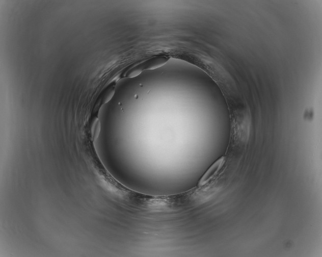 X0000090930574200707301558