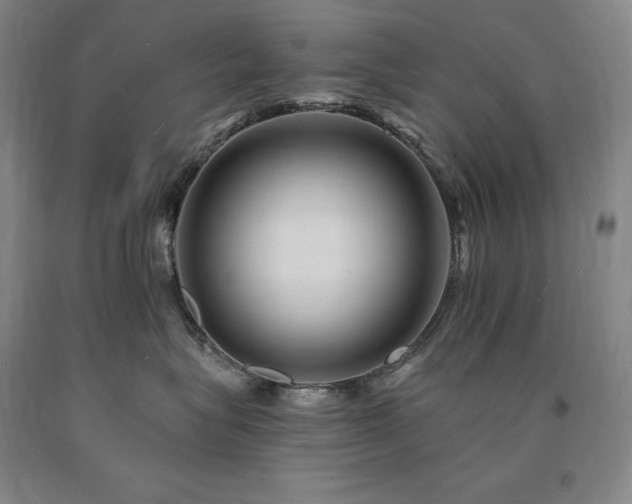 X0000090930575200707301558