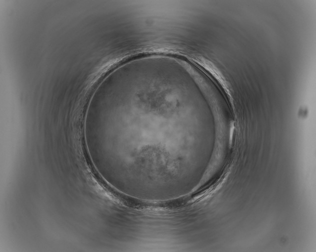 X0000090930577200707301557