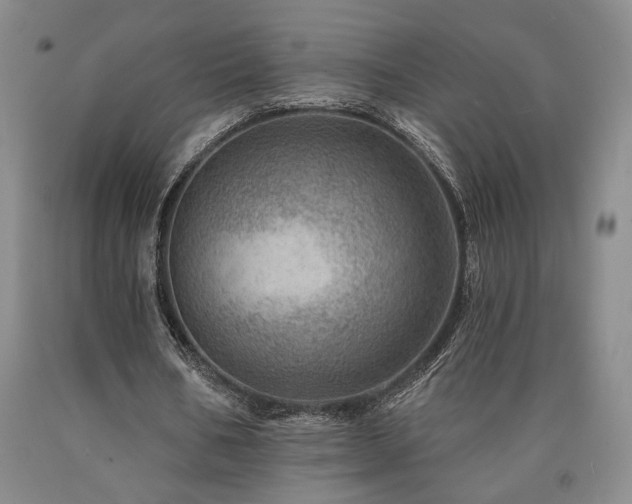 X0000090930578200707301557