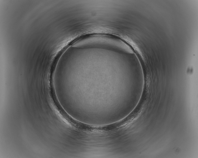 X0000090930581200707301557