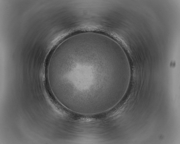 X0000090930582200707301557