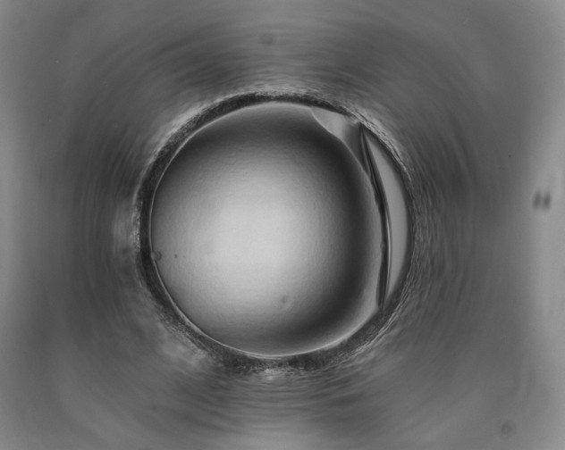 X0000090930584200707301557
