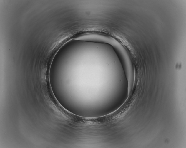 X0000090930585200707301557