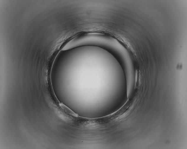 X0000090930589200707301557
