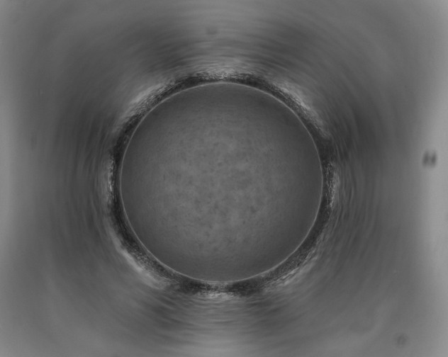 X0000090930590200707301557