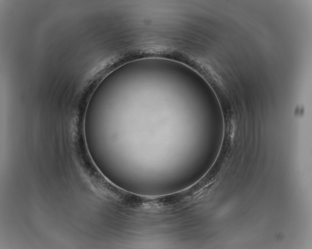X0000090930591200707301557