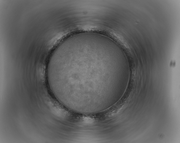 X0000090930592200707301557