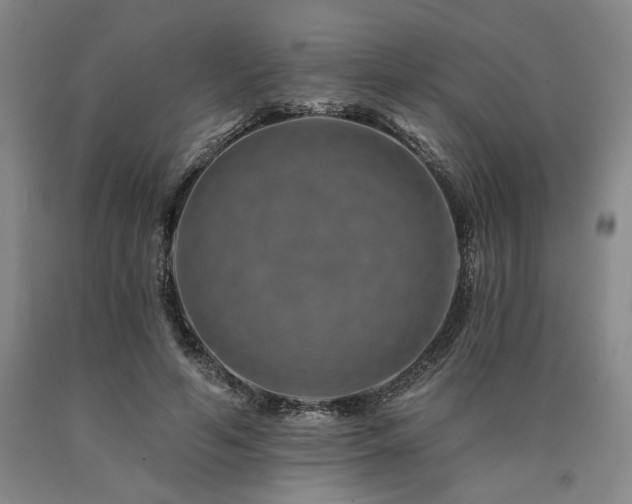 X0000090930594200707301557