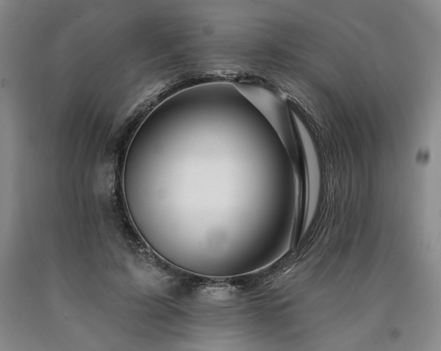 X0000090930595200707301557