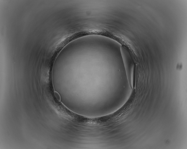 X0000090930596200707301557